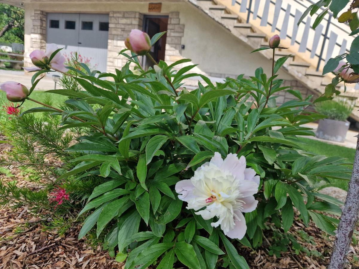 Gite L'Enclos O Rendez-Vous Roquefeuil-Pays De Sault- Avec Jardin Exterior photo